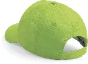 PS_B10-B_LIMEGREEN.webp