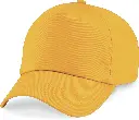 PS_B10_GOLD.webp