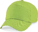 PS_B10_LIMEGREEN.webp