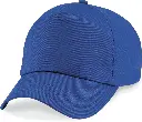 PS_B10_BRIGHTROYAL.webp