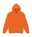 PS_GI18500-2_SAFETYORANGE.webp