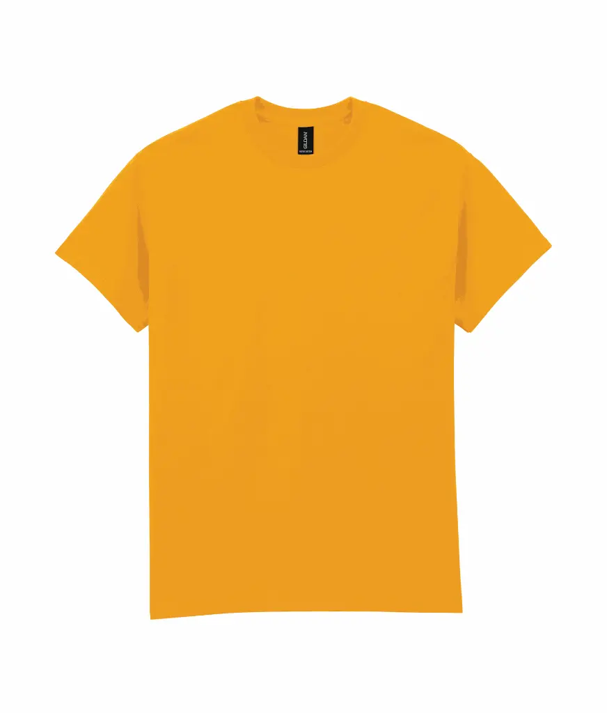 PS_GI2000-2_GOLD.webp