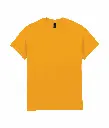 PS_GI2000-2_GOLD.webp