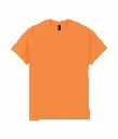 PS_GI2000_TANGERINEX72.webp