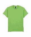 PS_GI2000-2_LIME.webp