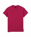 PS_GI2000-2_CARDINALRED.webp