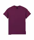 PS_GI2000-2_MAROON.webp