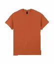 PS_GI2000_TEXASORANGEX72.webp