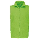 HD_PS_K913_LIME.webp