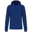 PS_K4027_TRUEINDIGO.jpg