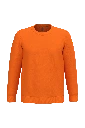 PS_K474_ORANGE.webp