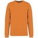 PS_NS400_TANGERINE.jpg