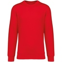 PS_NS400-2_POPPYRED.jpg