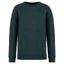 PS_NS400_AMAZONGREENHEATHER.jpg
