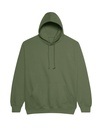 JH001 EARTHY GREEN (FLAT).jpg