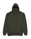 JH001 COMBAT GREEN (FLAT).jpg