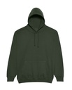 JH001 FOREST GREEN (FLAT).jpg
