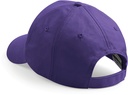 PS_B10-B_PURPLE.jpg
