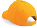 PS_B10-B_GOLD.jpg