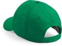 PS_B10-B_KELLYGREEN.jpg
