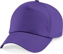 PS_B10_PURPLE.jpg