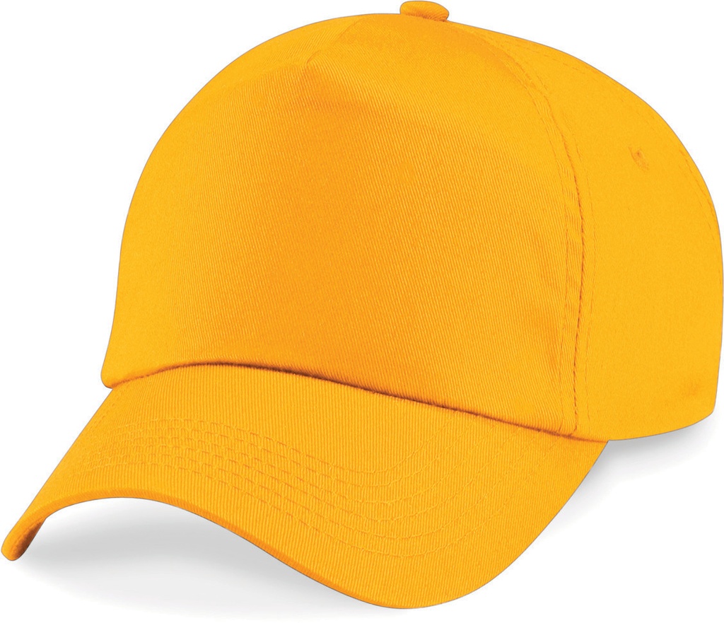 PS_B10_GOLD.jpg