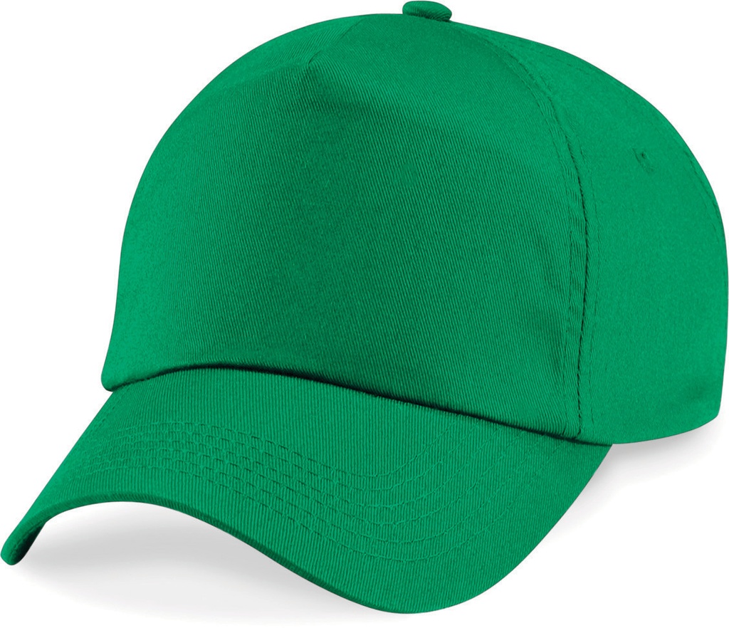 PS_B10_KELLYGREEN.jpg