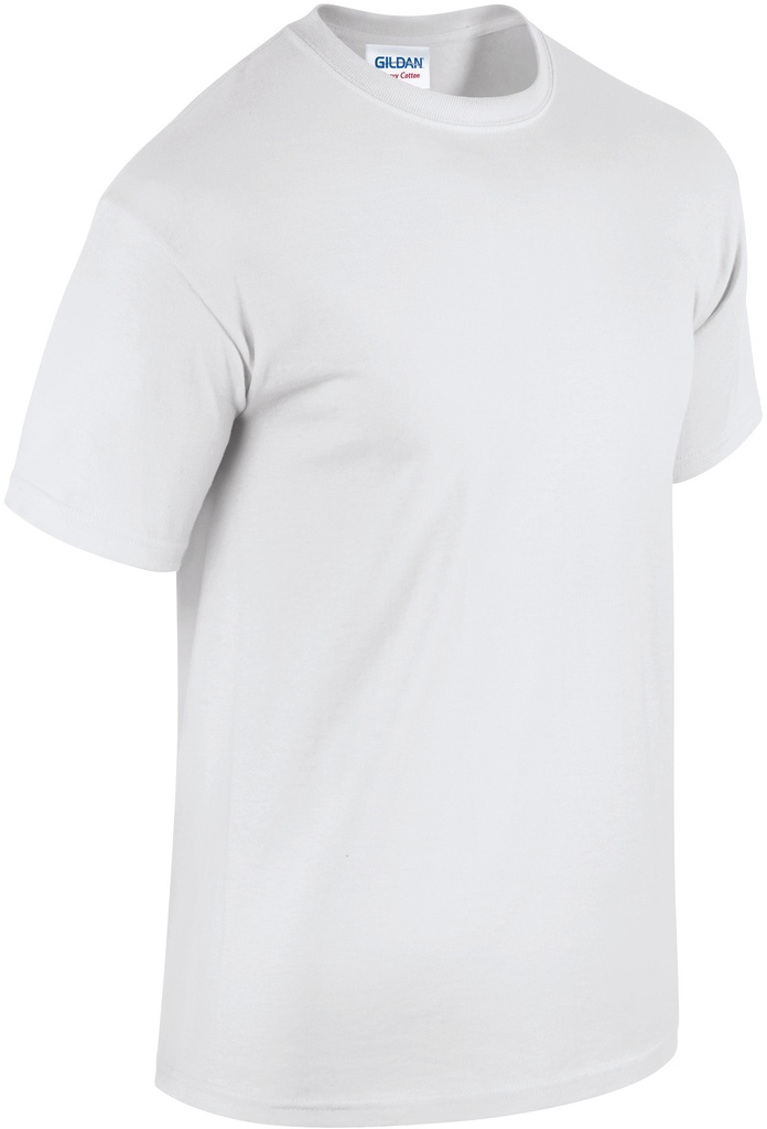 PS_GI5000-FS_WHITE.jpg
