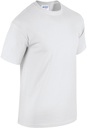 PS_GI5000-FS_WHITE.jpg