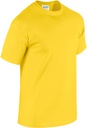 PS_GI5000-FS_DAISY.jpg