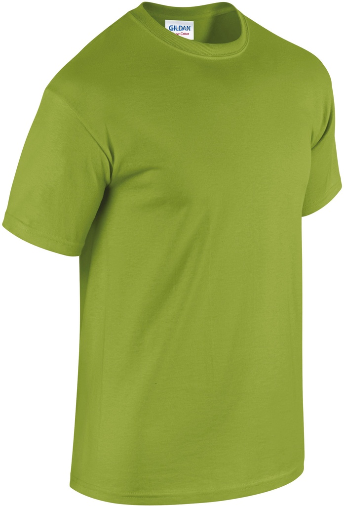 PS_GI5000-FS_KIWI.jpg