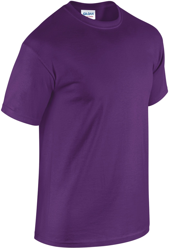PS_GI5000-FS_PURPLE.jpg