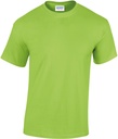 PS_GI5000_LIME.jpg