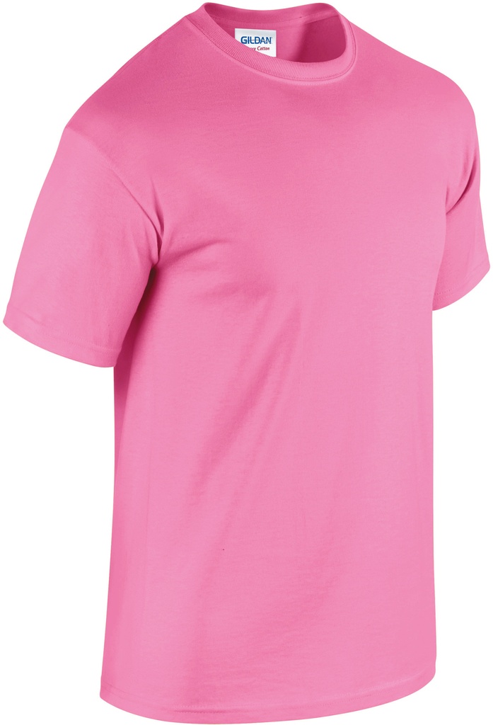 PS_GI5000-FS_AZALEA.jpg