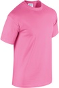 PS_GI5000-FS_AZALEA.jpg