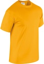 PS_GI5000-FS_GOLD.jpg