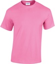 PS_GI5000_AZALEA.jpg