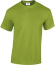 PS_GI5000_KIWI.jpg