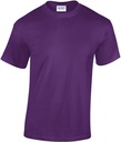 PS_GI5000_PURPLE.jpg