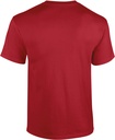 PS_GI5000-B_CARDINALRED.jpg