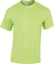 PS_GI5000_MINTGREEN.jpg