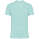 PS_PA4012-B_ICEMINT.jpg