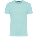 PS_PA4012_ICEMINT.jpg