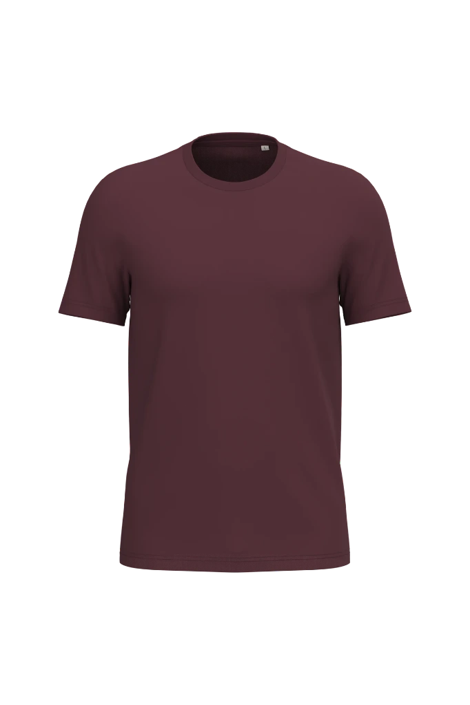 PS_NS300_DARKCHERRY.webp