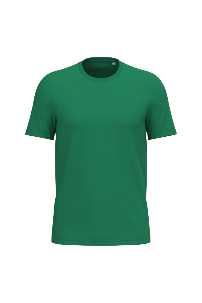 PS_NS300_GREENFIELD.webp