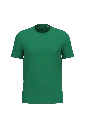PS_NS300_GREENFIELD.webp