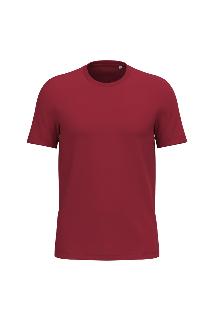 PS_NS300_HIBISCUSRED.webp