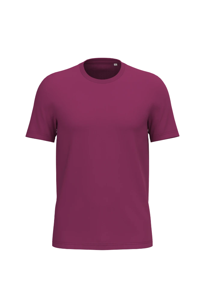 PS_NS300_CHERRYPURPLE.webp