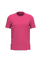 PS_NS300-3_RASPBERRYSORBET.webp