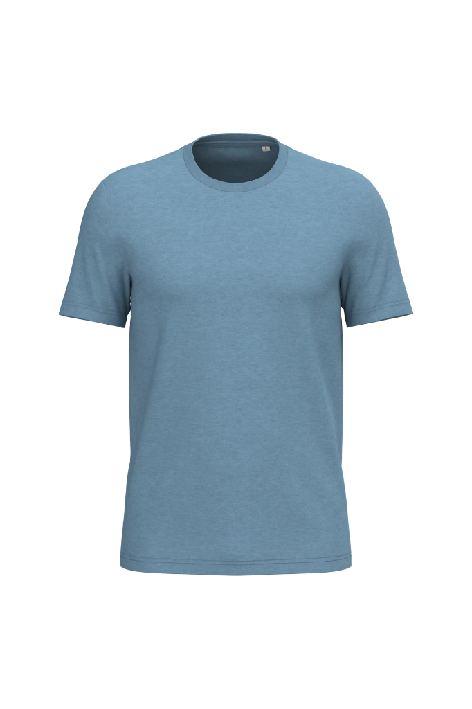 PS_NS300_COOLBLUEHEATHER.webp
